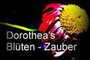 dorothea goder - bluetenzauber